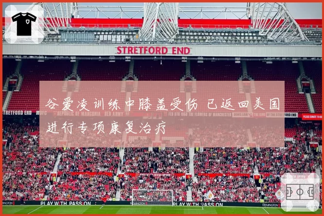 谷爱凌训练中膝盖受伤 已返回美国进行专项康复治疗